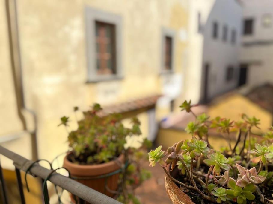 Il Canto De' Cenci Apartment Arezzo Exterior photo